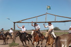 1211 Argentine 0006