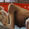 1311 Australie 001